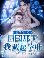 沈云雾和秦夜的小说