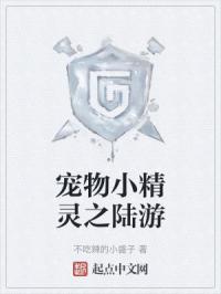 宠物小精灵之陆游