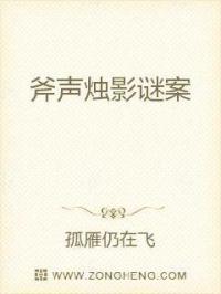 斧声烛影谜案