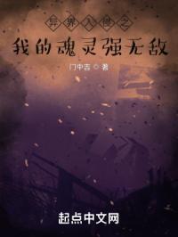异界入侵之我的魂灵强无敌