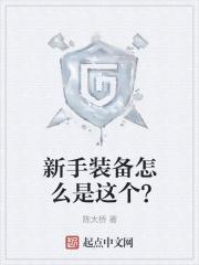 新手装备怎么是这个？